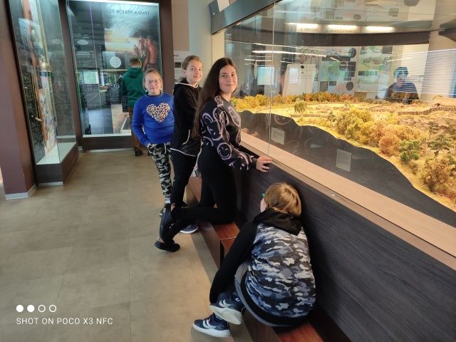 Fotografie 4 z galerie